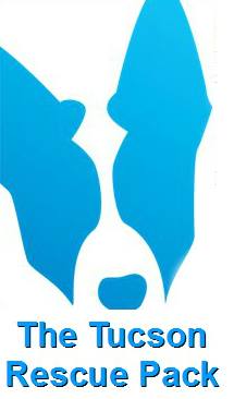 Your logo